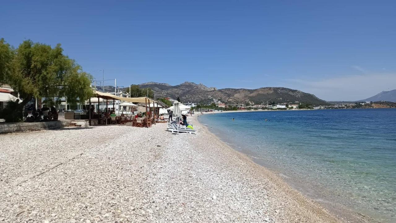 Alexadra'S House Κάτω Αλμυρή Lejlighed Eksteriør billede