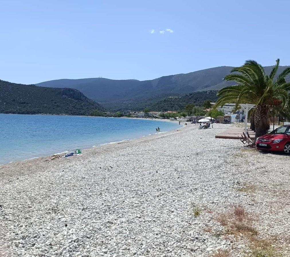 Alexadra'S House Κάτω Αλμυρή Lejlighed Eksteriør billede